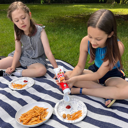 It's a picnic with two young gals on a picnic blanket getting ready to enjoy some fries and tots with Noshi organic ketchup